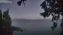 ./images/koeye/fitz-hugh/20260819/fitz-hugh20260819_055002M.jpg