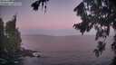 ./images/koeye/fitz-hugh/20260819/fitz-hugh20260819_061001M.jpg
