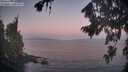 ./images/koeye/fitz-hugh/20260819/fitz-hugh20260819_061502M.jpg