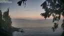 ./images/koeye/fitz-hugh/20260819/fitz-hugh20260819_063001M.jpg