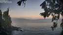 ./images/koeye/fitz-hugh/20260819/fitz-hugh20260819_063501M.jpg