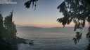 ./images/koeye/fitz-hugh/20260819/fitz-hugh20260819_064001M.jpg