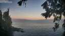 ./images/koeye/fitz-hugh/20260819/fitz-hugh20260819_064502M.jpg