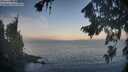 ./images/koeye/fitz-hugh/20260819/fitz-hugh20260819_070001M.jpg