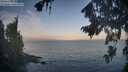 ./images/koeye/fitz-hugh/20260819/fitz-hugh20260819_071002M.jpg