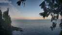 ./images/koeye/fitz-hugh/20260819/fitz-hugh20260819_071501M.jpg
