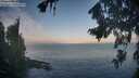 ./images/koeye/fitz-hugh/20260819/fitz-hugh20260819_072001M.jpg