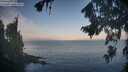 ./images/koeye/fitz-hugh/20260819/fitz-hugh20260819_072501M.jpg