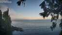 ./images/koeye/fitz-hugh/20260819/fitz-hugh20260819_073001M.jpg