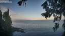 ./images/koeye/fitz-hugh/20260819/fitz-hugh20260819_073501M.jpg