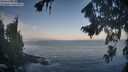 ./images/koeye/fitz-hugh/20260819/fitz-hugh20260819_074001M.jpg