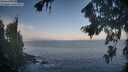 ./images/koeye/fitz-hugh/20260819/fitz-hugh20260819_074501M.jpg