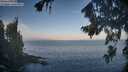 ./images/koeye/fitz-hugh/20260819/fitz-hugh20260819_075501M.jpg