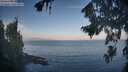 ./images/koeye/fitz-hugh/20260819/fitz-hugh20260819_080002M.jpg