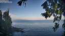 ./images/koeye/fitz-hugh/20260819/fitz-hugh20260819_081001M.jpg