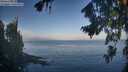 ./images/koeye/fitz-hugh/20260819/fitz-hugh20260819_081501M.jpg
