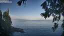 ./images/koeye/fitz-hugh/20260819/fitz-hugh20260819_082501M.jpg