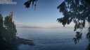 ./images/koeye/fitz-hugh/20260819/fitz-hugh20260819_083501M.jpg