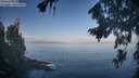 ./images/koeye/fitz-hugh/20260819/fitz-hugh20260819_084001M.jpg