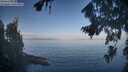 ./images/koeye/fitz-hugh/20260819/fitz-hugh20260819_084501M.jpg