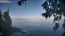./images/koeye/fitz-hugh/20260819/fitz-hugh20260819_085002M.jpg