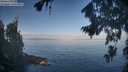 ./images/koeye/fitz-hugh/20260819/fitz-hugh20260819_085501M.jpg