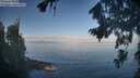 ./images/koeye/fitz-hugh/20260819/fitz-hugh20260819_090001M.jpg
