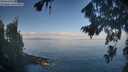 ./images/koeye/fitz-hugh/20260819/fitz-hugh20260819_090501M.jpg