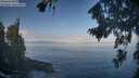 ./images/koeye/fitz-hugh/20260819/fitz-hugh20260819_094001M.jpg