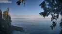 ./images/koeye/fitz-hugh/20260819/fitz-hugh20260819_094501M.jpg
