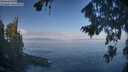 ./images/koeye/fitz-hugh/20260819/fitz-hugh20260819_095001M.jpg