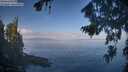 ./images/koeye/fitz-hugh/20260819/fitz-hugh20260819_095502M.jpg