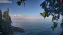 ./images/koeye/fitz-hugh/20260819/fitz-hugh20260819_100501M.jpg