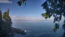 ./images/koeye/fitz-hugh/20260819/fitz-hugh20260819_101001M.jpg