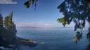 ./images/koeye/fitz-hugh/20260819/fitz-hugh20260819_101501M.jpg