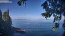./images/koeye/fitz-hugh/20260819/fitz-hugh20260819_102501M.jpg