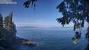 ./images/koeye/fitz-hugh/20260819/fitz-hugh20260819_103002M.jpg