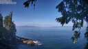 ./images/koeye/fitz-hugh/20260819/fitz-hugh20260819_103501M.jpg