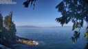./images/koeye/fitz-hugh/20260819/fitz-hugh20260819_104501M.jpg