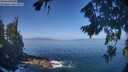 ./images/koeye/fitz-hugh/20260819/fitz-hugh20260819_105501M.jpg