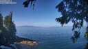 ./images/koeye/fitz-hugh/20260819/fitz-hugh20260819_110502M.jpg