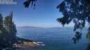 ./images/koeye/fitz-hugh/20260819/fitz-hugh20260819_111501M.jpg