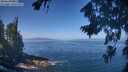 ./images/koeye/fitz-hugh/20260819/fitz-hugh20260819_112001M.jpg