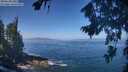 ./images/koeye/fitz-hugh/20260819/fitz-hugh20260819_112502M.jpg