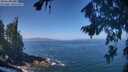 ./images/koeye/fitz-hugh/20260819/fitz-hugh20260819_114501M.jpg