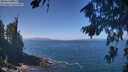 ./images/koeye/fitz-hugh/20260819/fitz-hugh20260819_121501M.jpg