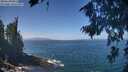 ./images/koeye/fitz-hugh/20260819/fitz-hugh20260819_122001M.jpg