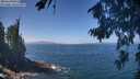 ./images/koeye/fitz-hugh/20260819/fitz-hugh20260819_123001M.jpg