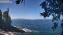 ./images/koeye/fitz-hugh/20260819/fitz-hugh20260819_123501M.jpg