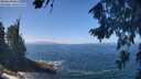 ./images/koeye/fitz-hugh/20260819/fitz-hugh20260819_124001M.jpg